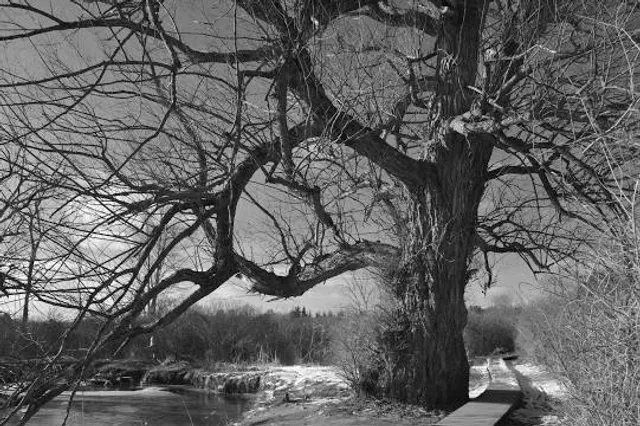 Riverside Nature Trail