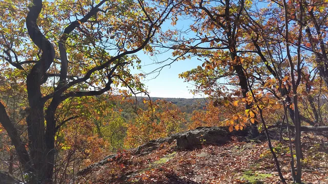Seth Low Pierrepont State Park