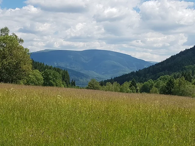 Přemyslovské sedlo