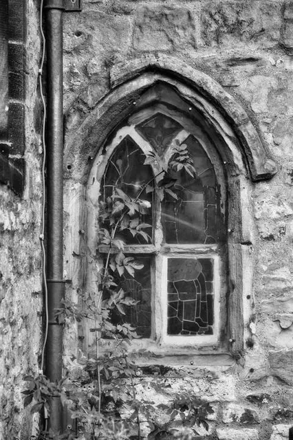 Ruiny Cerkwi W Kniaziach