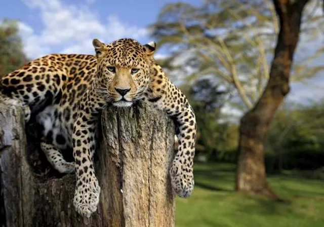 Rekreační park Karlštejn