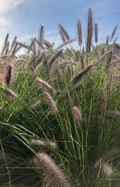 Centro Interactivo del Conocimiento XIMHAI