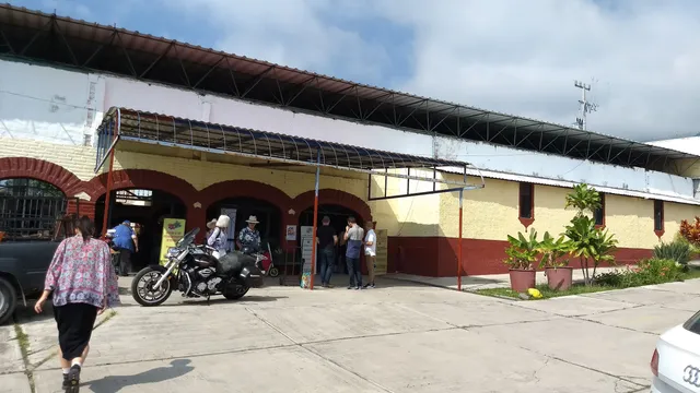Lake Chapala Farmers Market