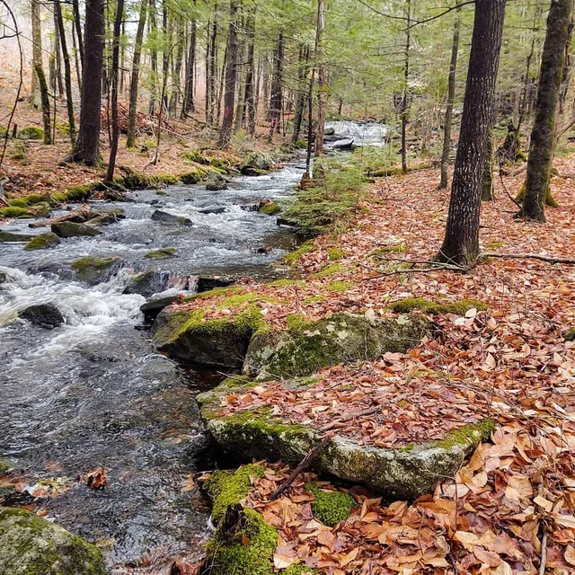 Sander's Hill Trailhead - Belgrade Regional Conservation Alliance