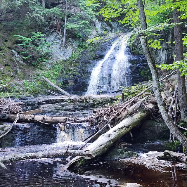 Cascade Falls Trail