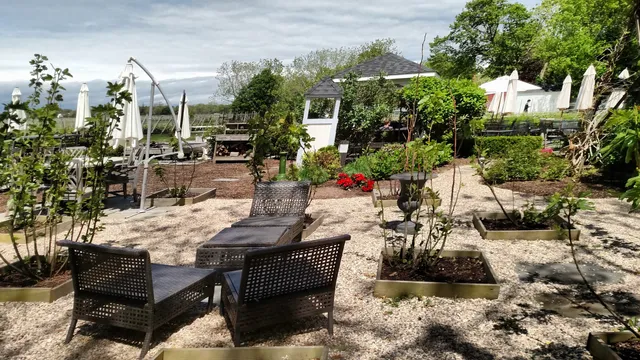 Mattebella Vineyards