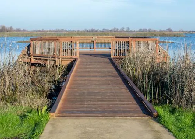 Cosumnes River Preserve