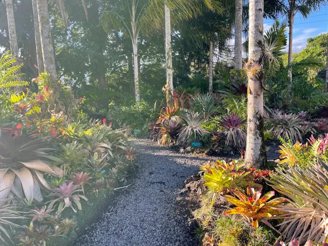 Botanical Garden at University of Hawaii - Hilo