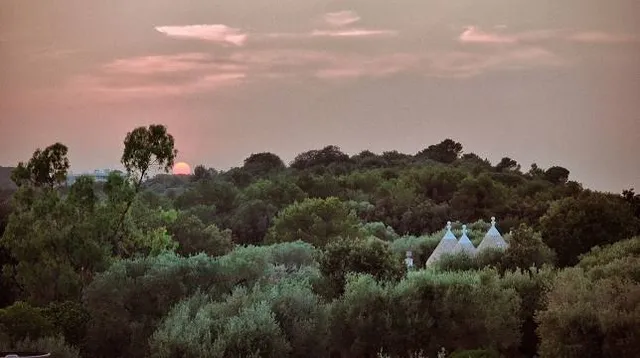 Pangarinda Botanic Garden