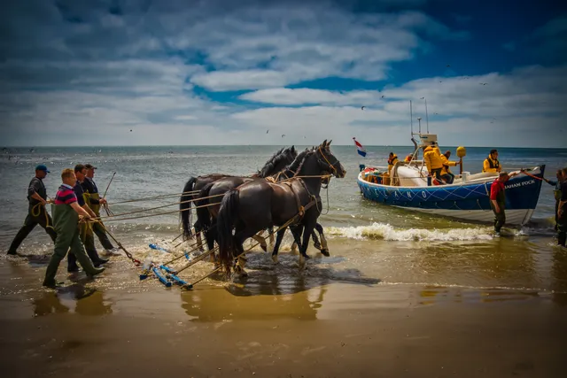 Stichting Paardenreddingboot Ameland