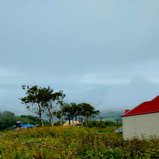 photo-1