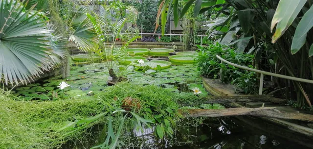 Skleník botanické zahrady Na Slupi