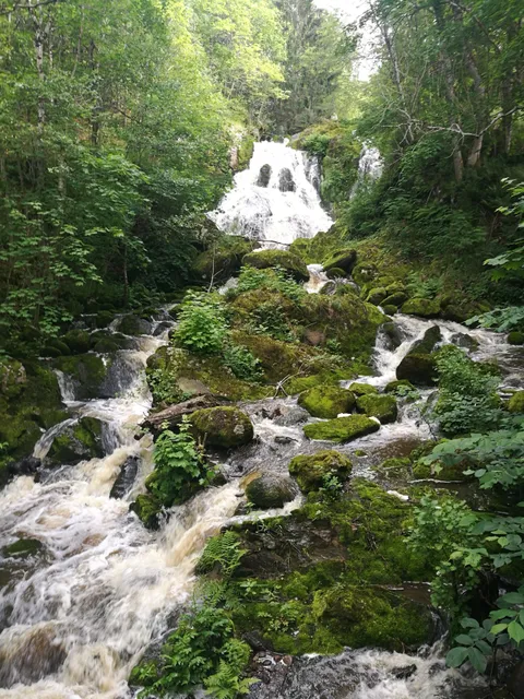 Skepplanda Hembygdsförening