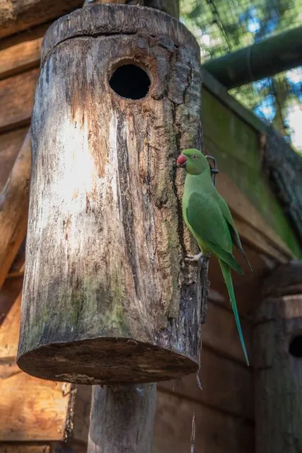 Spikens Fiskehamn, Kållandsö