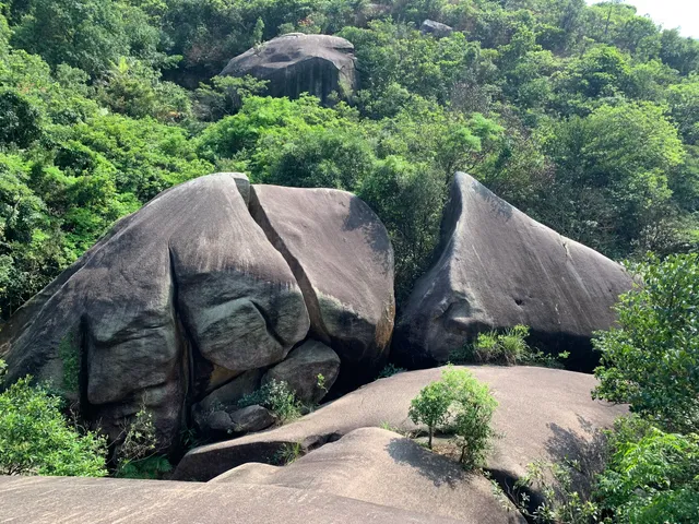 The Dinosaur Monolith