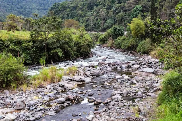 Manuel Cornejo Astorga (Tandapi)