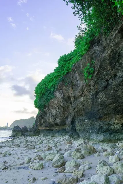 John Manjiro Landing