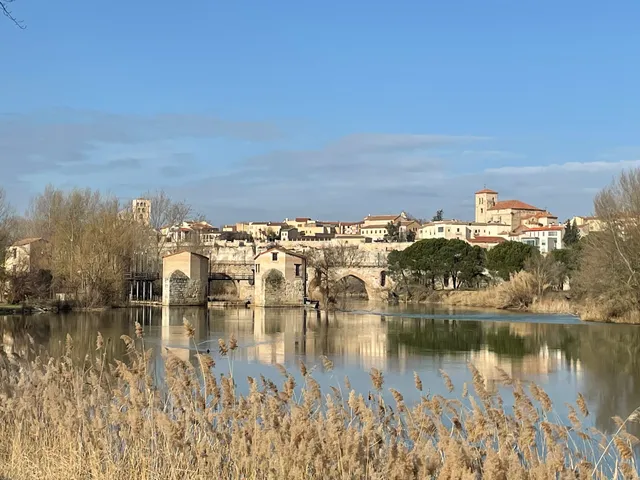 Aceñas de Cabañales