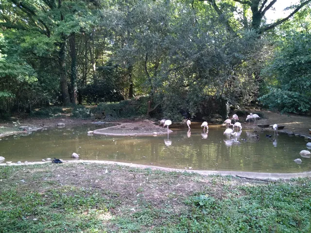 Zoo St. Pierre Woods