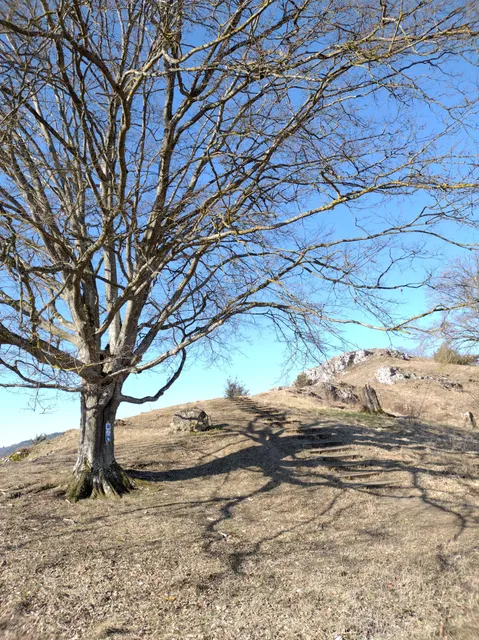 photo-1