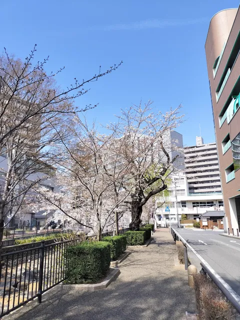 Hirose Riverside Ryokuchi Park