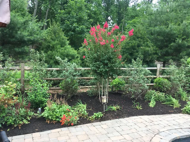 Ince Landscape Construction & Management LLC