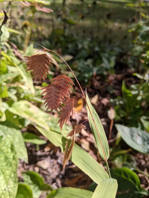 Homer Lake Interpretive Center