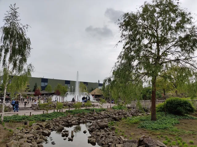 Katara: Fountain of Magic