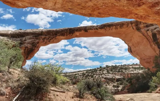 Natural Bridges National Monument