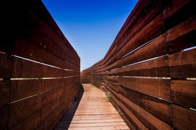 Riserva Naturale delle saline