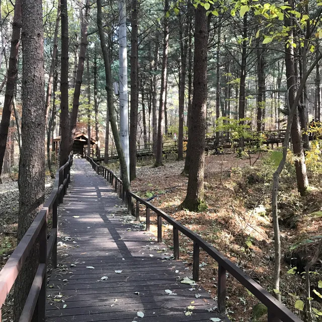 Cheongtaesan Nature Recreation Forest