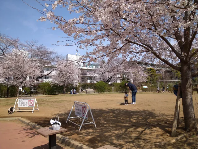 KamiYōga Park