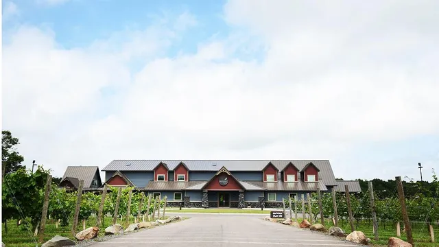 Dancing Dragonfly Winery