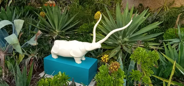 Michel vu Coopérative Mogadoré Garden