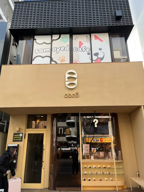 Samoyed Park Fukuoka Tenjin