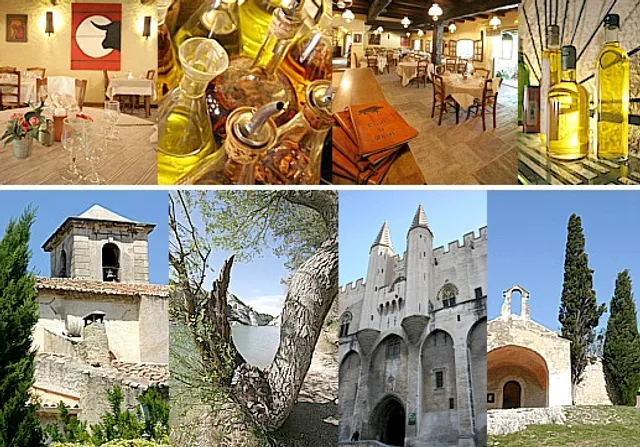 Hôtel le Vallon de Gayet