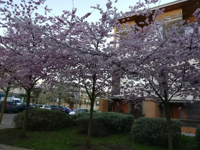 Prime Location Lets-The Hub Apartments