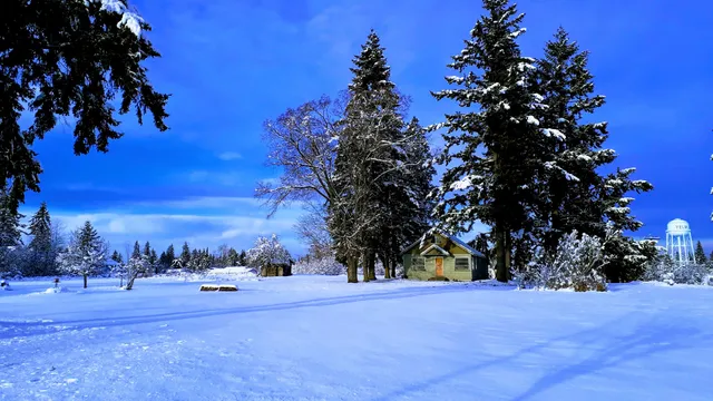 Yelm Community Services