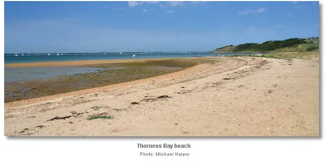 Thorness Bay Beach