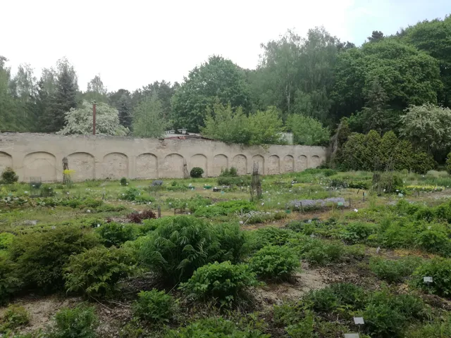 Vilniaus universiteto botanikos sodo Vingio skyrius