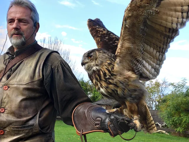 Falconry "Wörlitzer Park"
