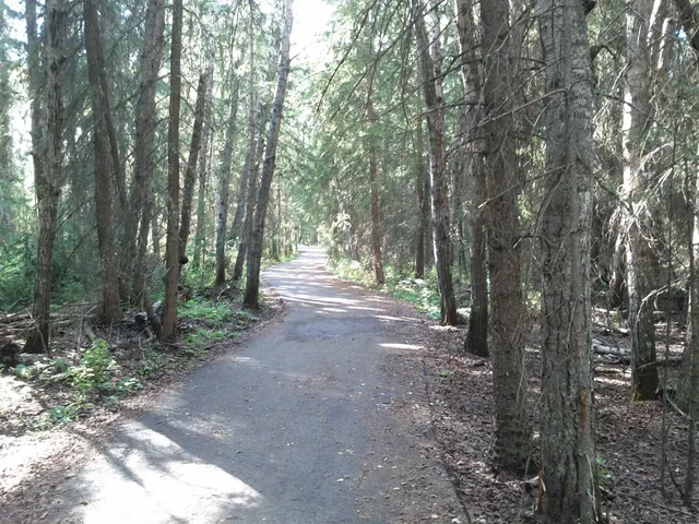 Fish Creek Community Forest