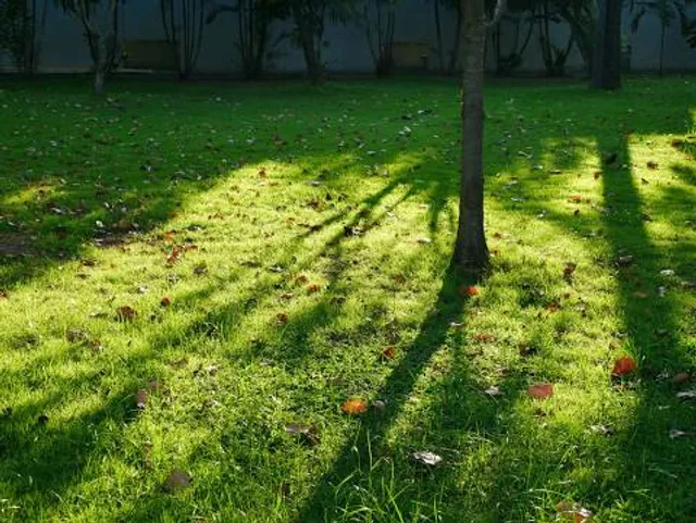 Itayanagi Town Furusato Center