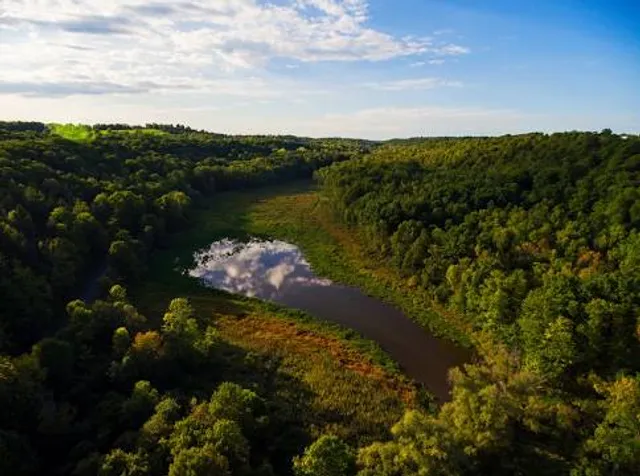 Skaneateles Conservation Area