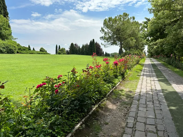 Viale delle Rose