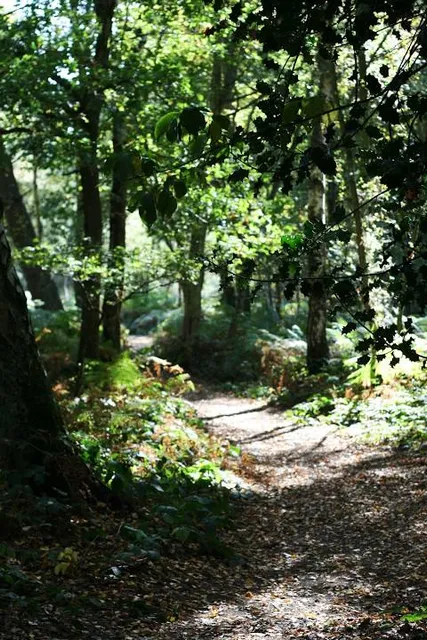 Snelsmore Common Country Park