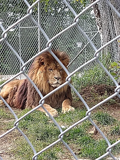 Zoo Falardeau