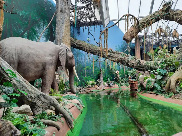 World of Discoveries