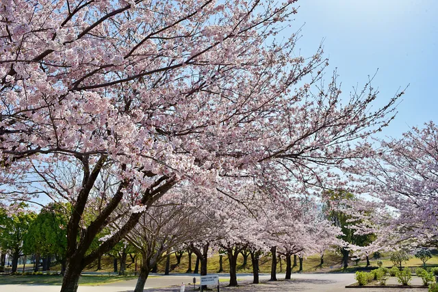 Nakaminato Sports Park