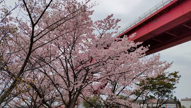 Nadahama Ryokuchi Park